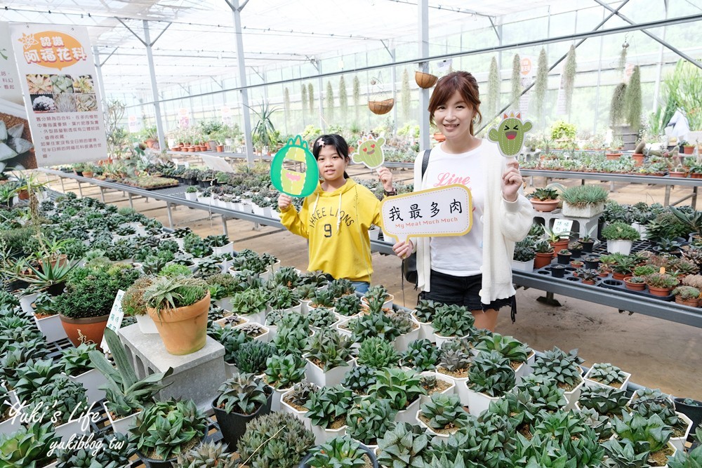 新竹新埔景點【福祥仙人掌與多肉植物園】多肉植物的環遊世界之旅~免費逛 - yuki.tw