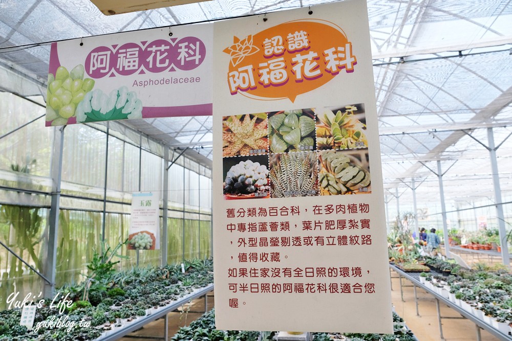 新竹新埔景點【福祥仙人掌與多肉植物園】多肉植物的環遊世界之旅~免費逛 - yuki.tw