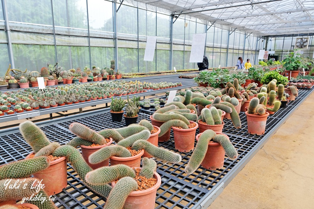 新竹新埔景點【福祥仙人掌與多肉植物園】多肉植物的環遊世界之旅~免費逛 - yuki.tw