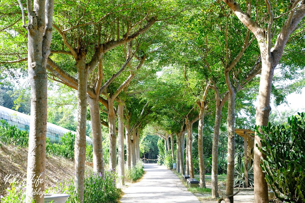 新竹新埔景點【福祥仙人掌與多肉植物園】多肉植物的環遊世界之旅~免費逛 - yuki.tw