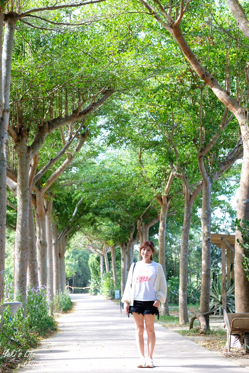 新竹新埔景點【福祥仙人掌與多肉植物園】多肉植物的環遊世界之旅~免費逛 - yuki.tw