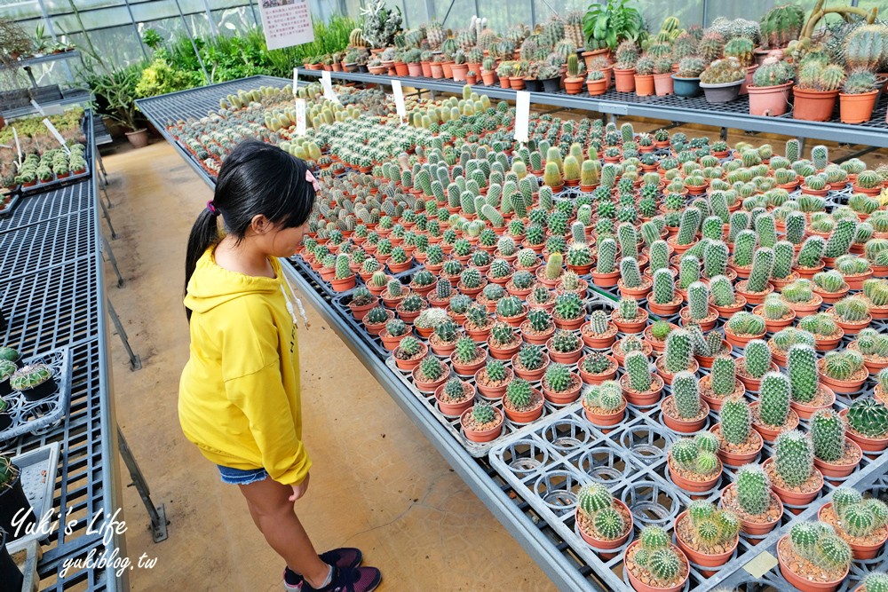 新竹新埔景點【福祥仙人掌與多肉植物園】多肉植物的環遊世界之旅~免費逛 - yuki.tw