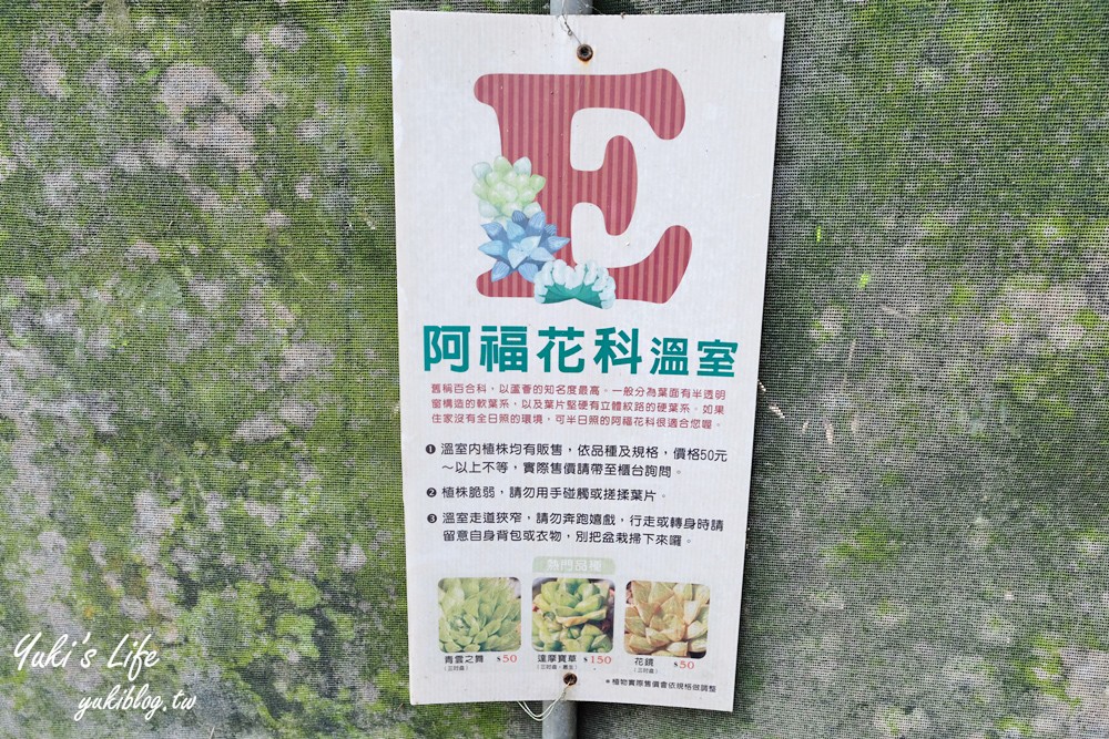 新竹新埔景點【福祥仙人掌與多肉植物園】多肉植物的環遊世界之旅~免費逛 - yuki.tw