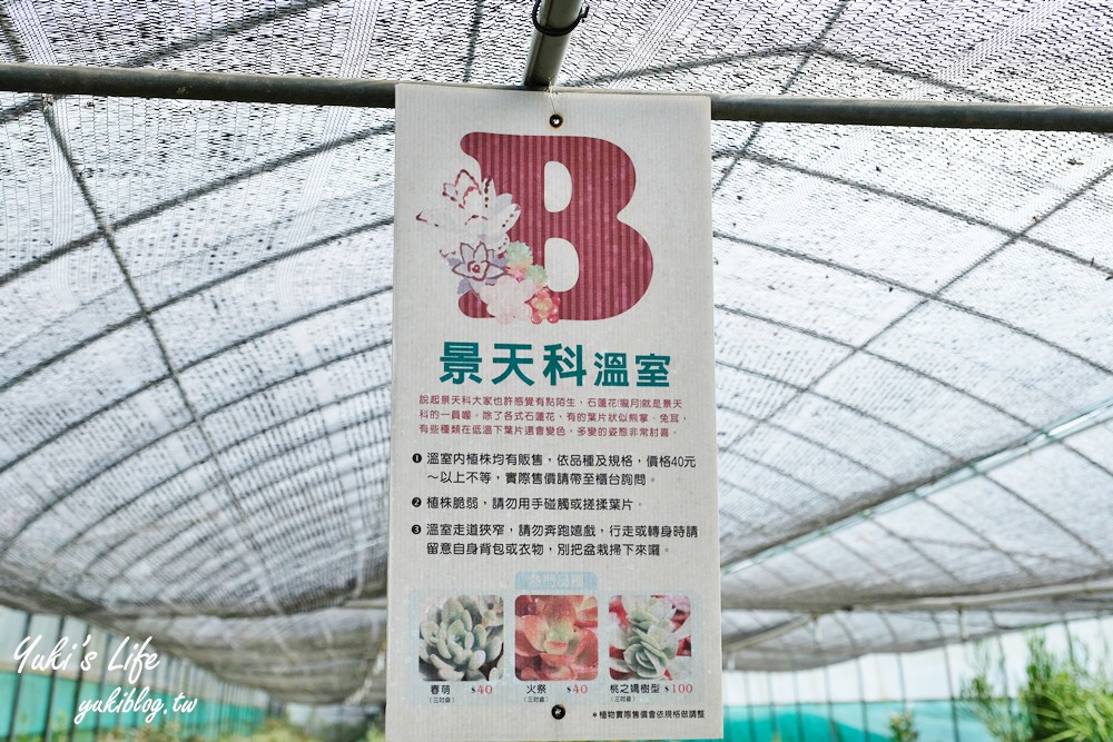 新竹新埔景點【福祥仙人掌與多肉植物園】多肉植物的環遊世界之旅~免費逛 - yuki.tw