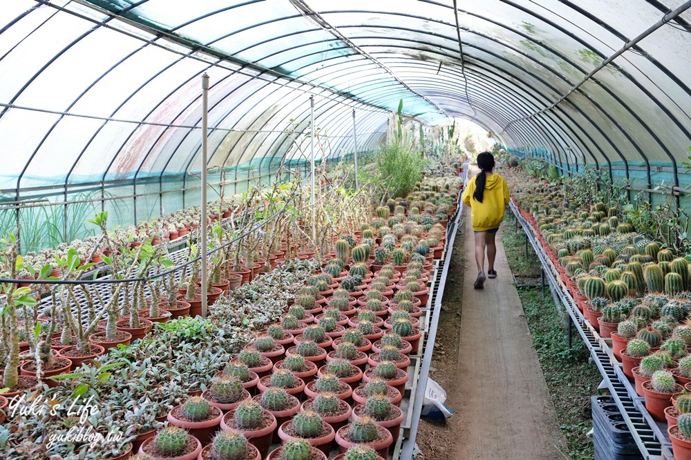 新竹新埔景點【福祥仙人掌與多肉植物園】多肉植物的環遊世界之旅~免費逛 - yuki.tw