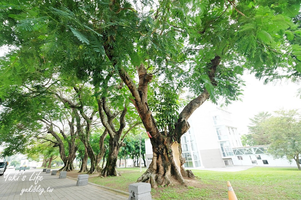 南投景點【台灣工藝文化園區】免費親子好去處、歡樂森林童玩遊戲區 - yuki.tw