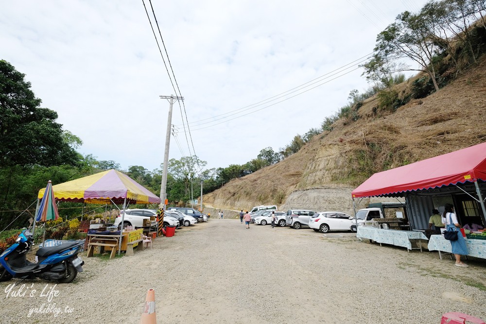 免年必訪三灣落羽松莊園~免門票水面落羽松超夢幻森林，含交通、停車場資訊 - yuki.tw