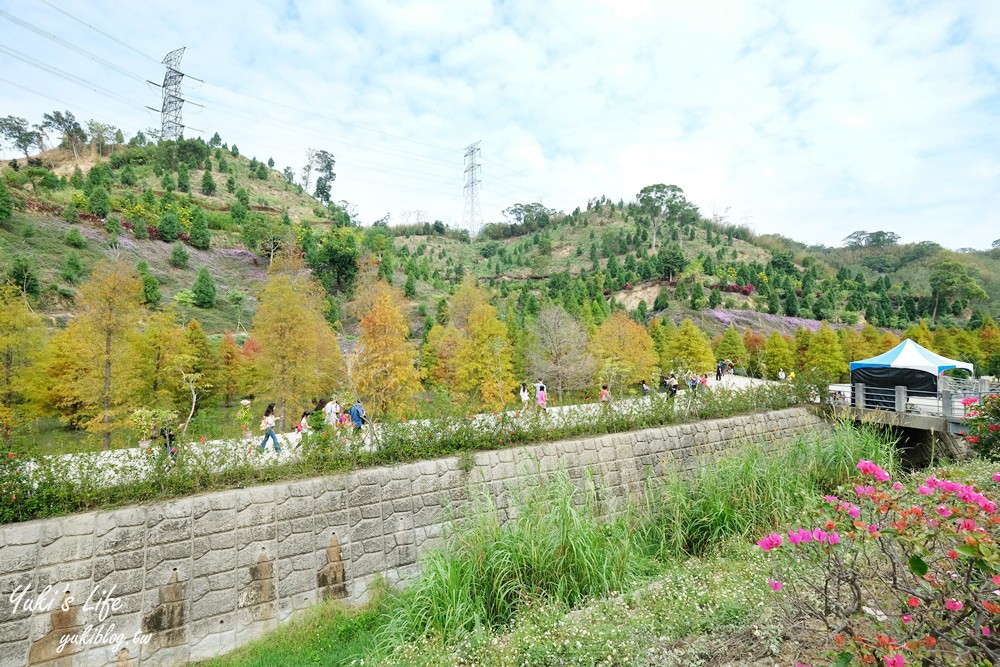 免年必訪三灣落羽松莊園~免門票水面落羽松超夢幻森林，含交通、停車場資訊 - yuki.tw