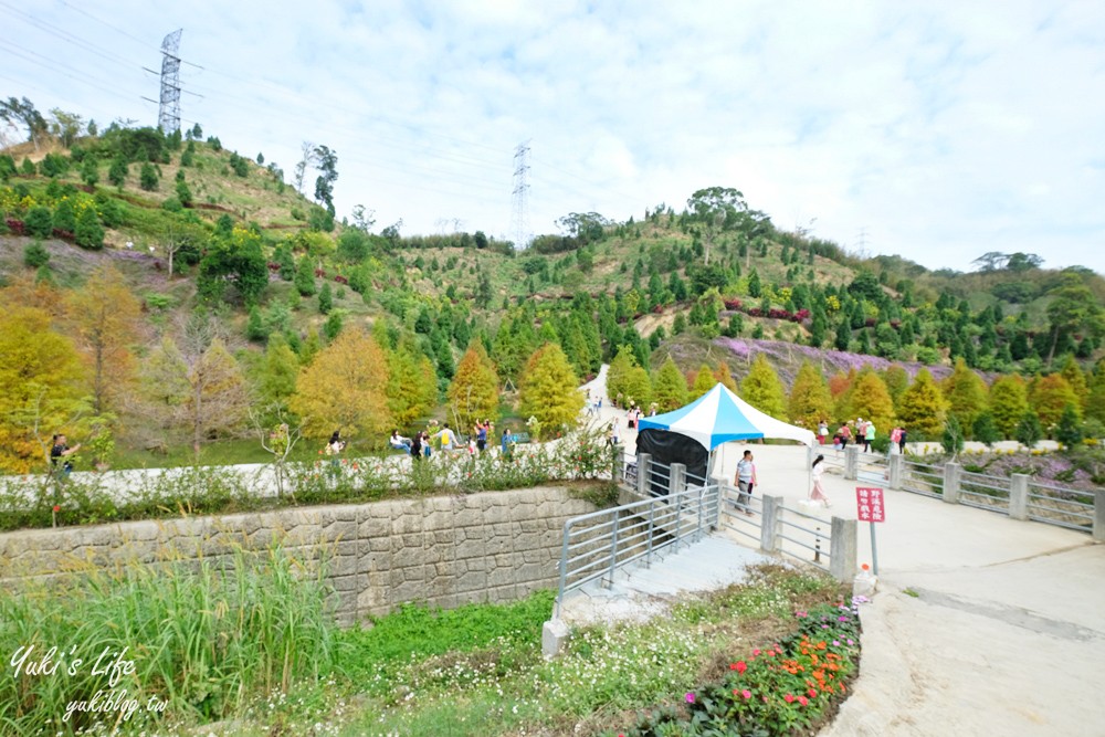 免年必訪三灣落羽松莊園~免門票水面落羽松超夢幻森林，含交通、停車場資訊 - yuki.tw