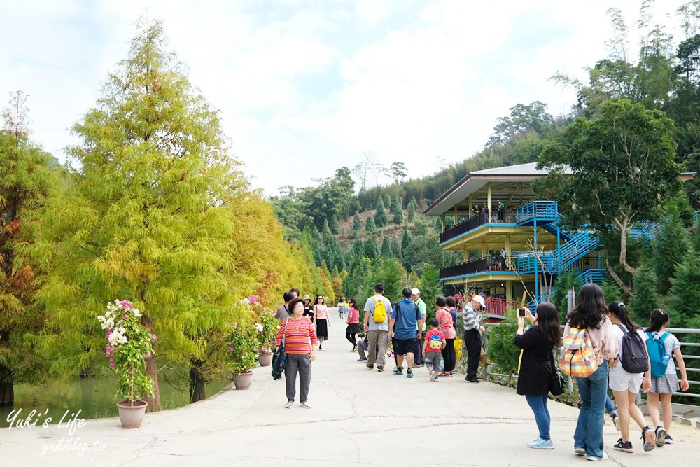 免年必訪三灣落羽松莊園~免門票水面落羽松超夢幻森林，含交通、停車場資訊 - yuki.tw