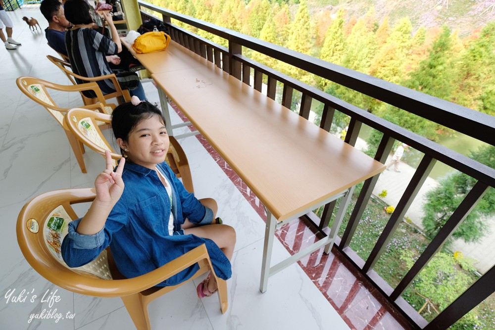 免年必訪三灣落羽松莊園~免門票水面落羽松超夢幻森林，含交通、停車場資訊 - yuki.tw