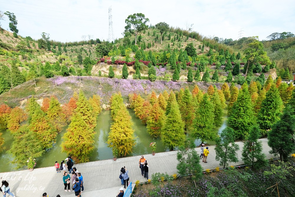 免年必訪三灣落羽松莊園~免門票水面落羽松超夢幻森林，含交通、停車場資訊 - yuki.tw