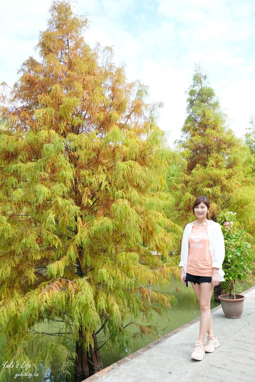 免年必訪三灣落羽松莊園~免門票水面落羽松超夢幻森林，含交通、停車場資訊 - yuki.tw