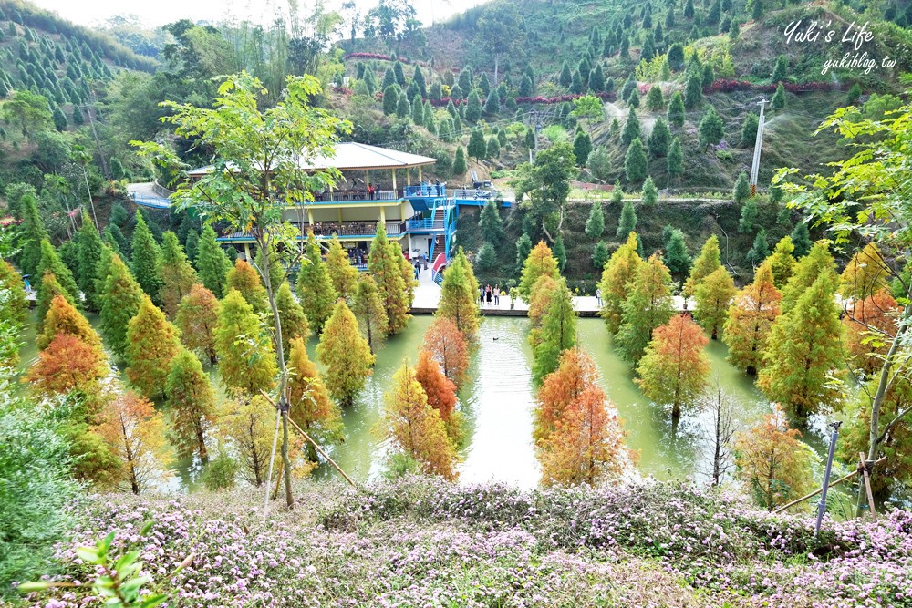 免年必訪三灣落羽松莊園~免門票水面落羽松超夢幻森林，含交通、停車場資訊 - yuki.tw