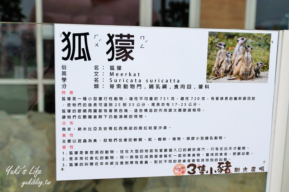 嘉義民雄景點【三隻小豬觀光農場】20多種動物遊樂園、繪本世界親子一日遊！ - yuki.tw