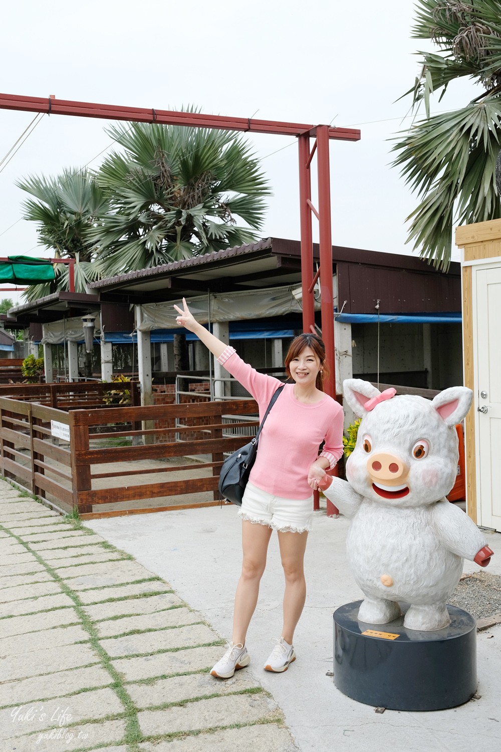 嘉義民雄景點【三隻小豬觀光農場】20多種動物遊樂園、繪本世界親子一日遊！ - yuki.tw