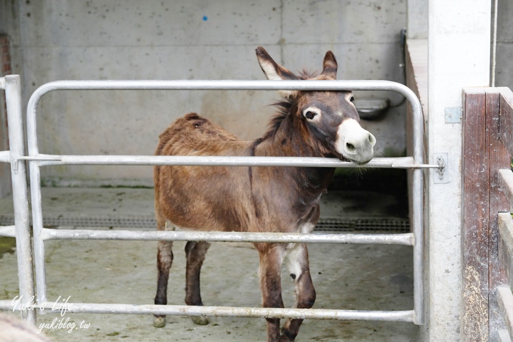 嘉義民雄景點【三隻小豬觀光農場】20多種動物遊樂園、繪本世界親子一日遊！ - yuki.tw