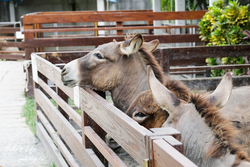 嘉義民雄景點【三隻小豬觀光農場】20多種動物遊樂園、繪本世界親子一日遊！ - yuki.tw