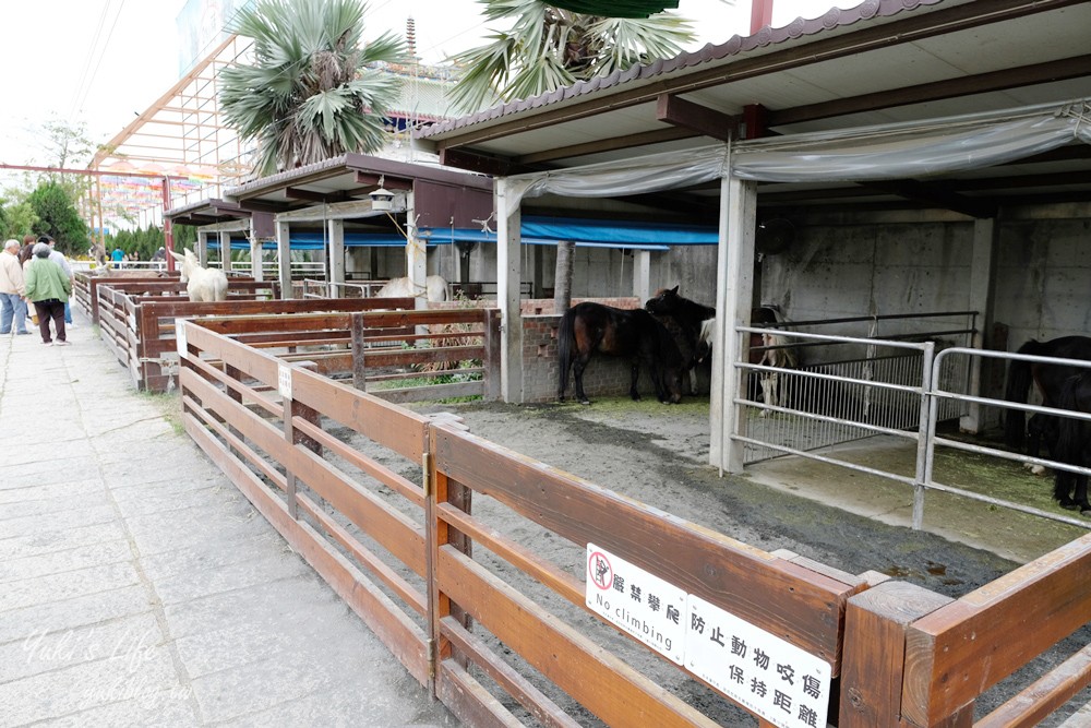 嘉義民雄景點【三隻小豬觀光農場】20多種動物遊樂園、繪本世界親子一日遊！ - yuki.tw