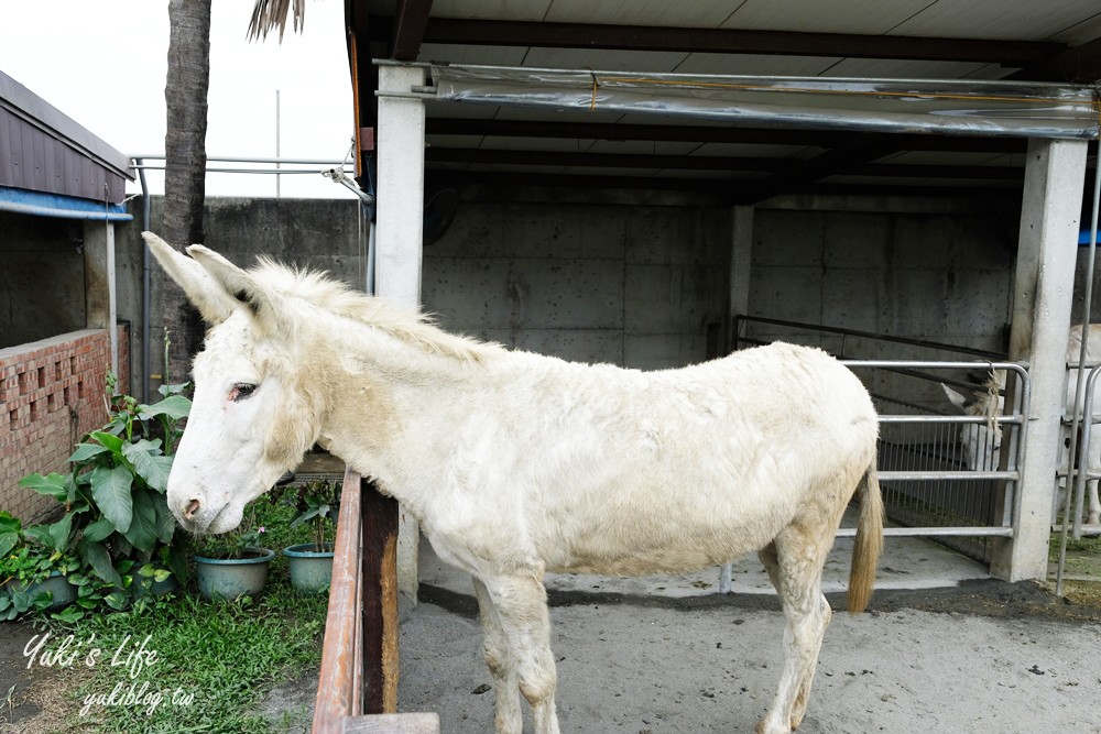 嘉義民雄景點【三隻小豬觀光農場】20多種動物遊樂園、繪本世界親子一日遊！ - yuki.tw