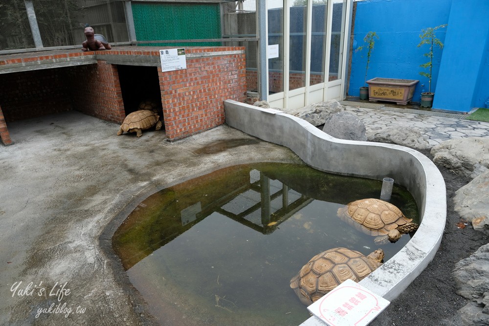 嘉義民雄景點【三隻小豬觀光農場】20多種動物遊樂園、繪本世界親子一日遊！ - yuki.tw