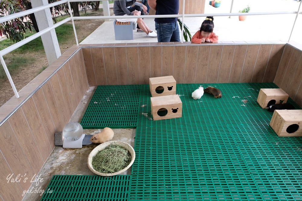 嘉義民雄景點【三隻小豬觀光農場】20多種動物遊樂園、繪本世界親子一日遊！ - yuki.tw