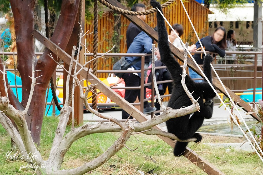 嘉義民雄景點【三隻小豬觀光農場】20多種動物遊樂園、繪本世界親子一日遊！ - yuki.tw