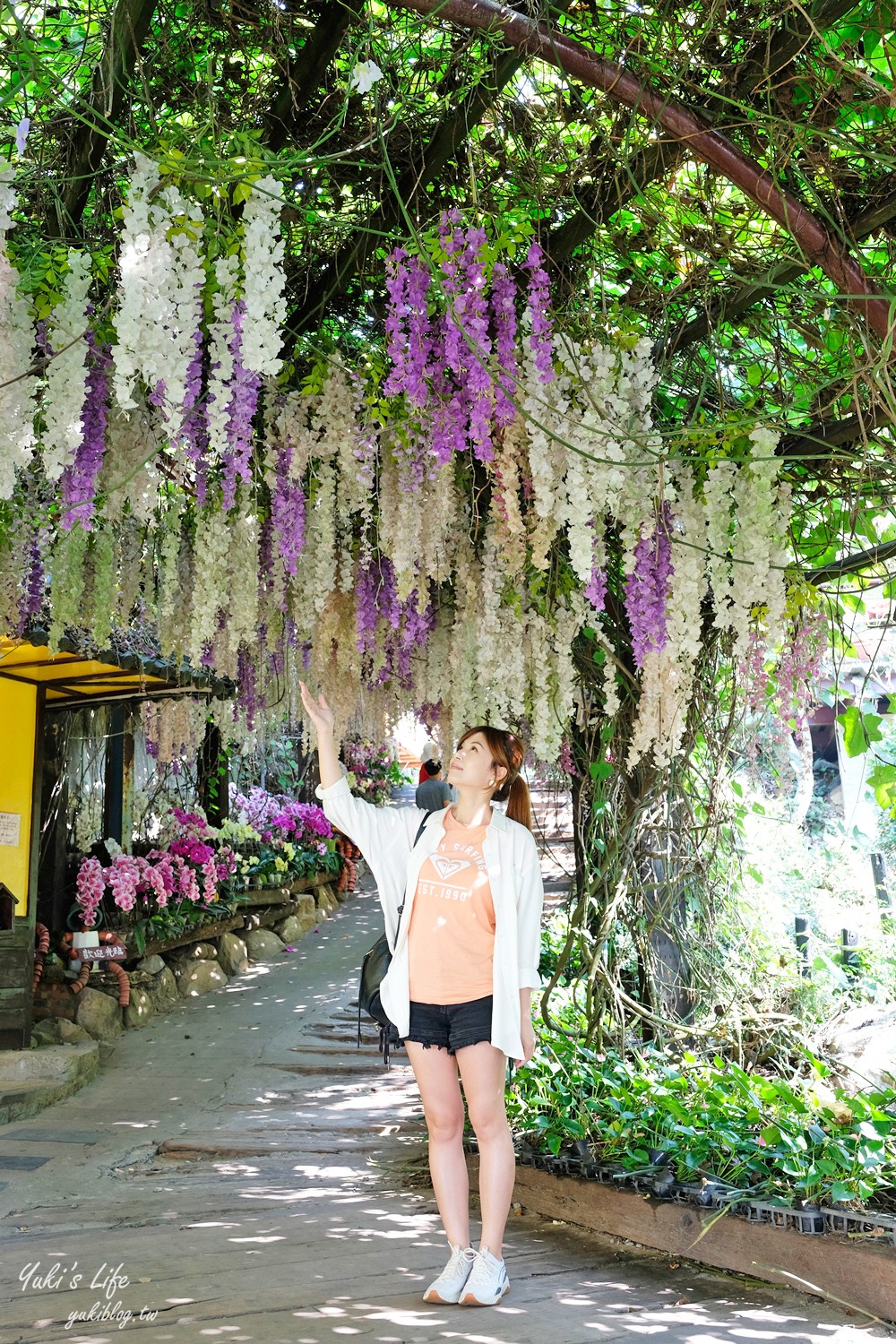 浪漫紫藤花隧道，還有可愛動物趴趴造！隱藏版碳烤山土雞 - yuki.tw