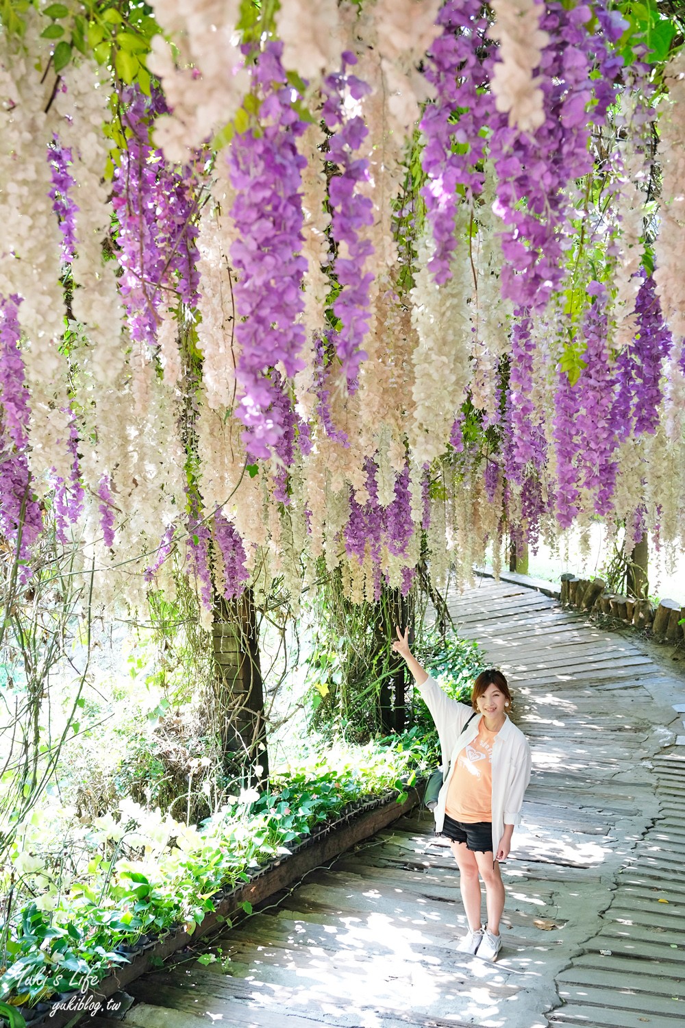 浪漫紫藤花隧道，還有可愛動物趴趴造！隱藏版碳烤山土雞 - yuki.tw