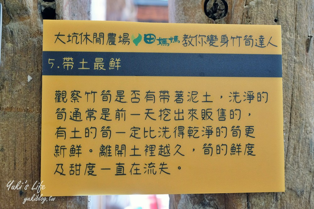 浪漫紫藤花隧道，還有可愛動物趴趴造！隱藏版碳烤山土雞 - yuki.tw