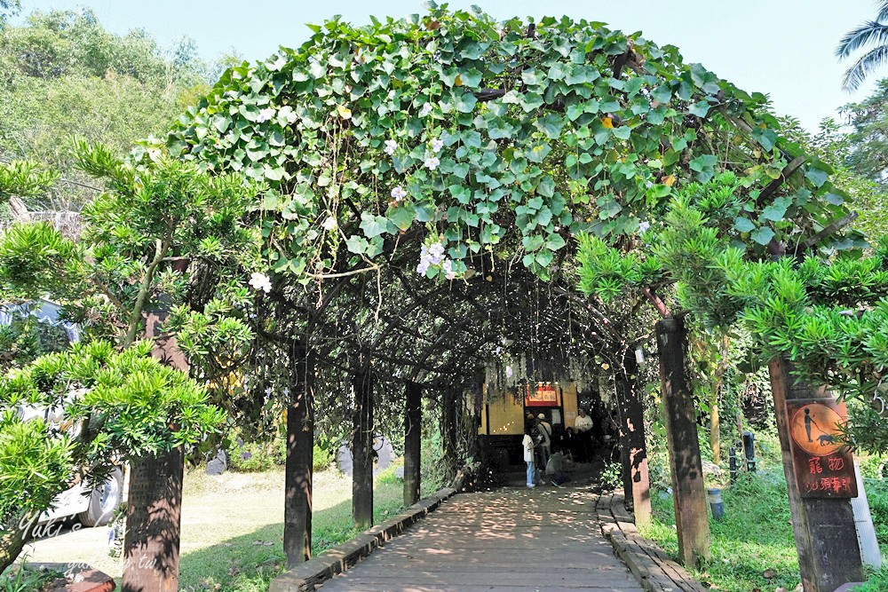 浪漫紫藤花隧道，還有可愛動物趴趴造！隱藏版碳烤山土雞 - yuki.tw