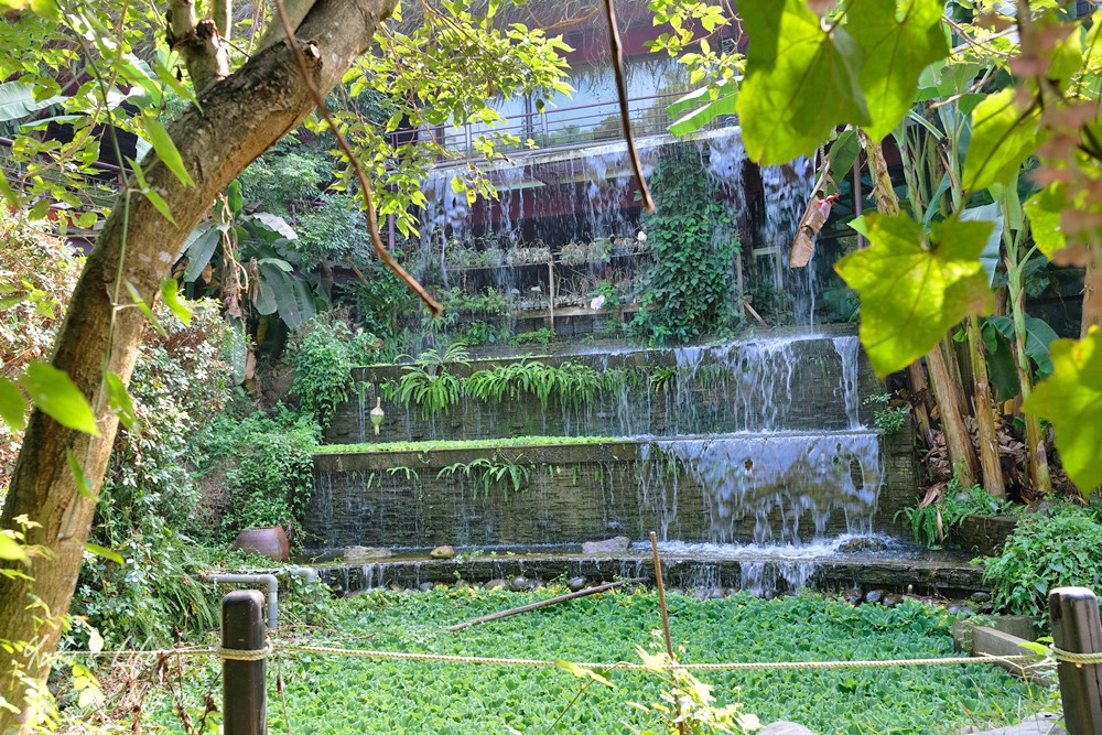 浪漫紫藤花隧道，還有可愛動物趴趴造！隱藏版碳烤山土雞 - yuki.tw