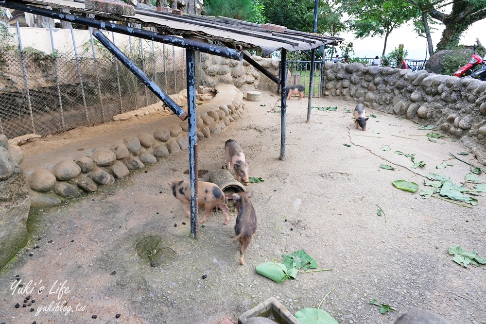 台南景點【仙湖休閒農場】親子一日遊～無邊際泳池、小動物、約會、草皮景觀餐廳、住宿 - yuki.tw