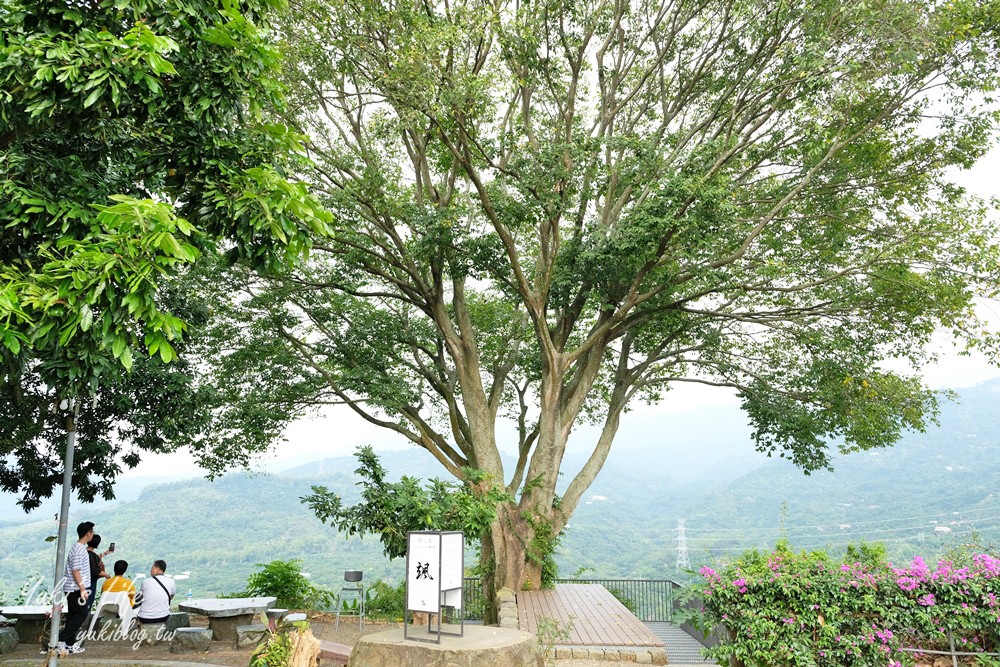 台南景點【仙湖休閒農場】親子一日遊～無邊際泳池、小動物、約會、草皮景觀餐廳、住宿 - yuki.tw