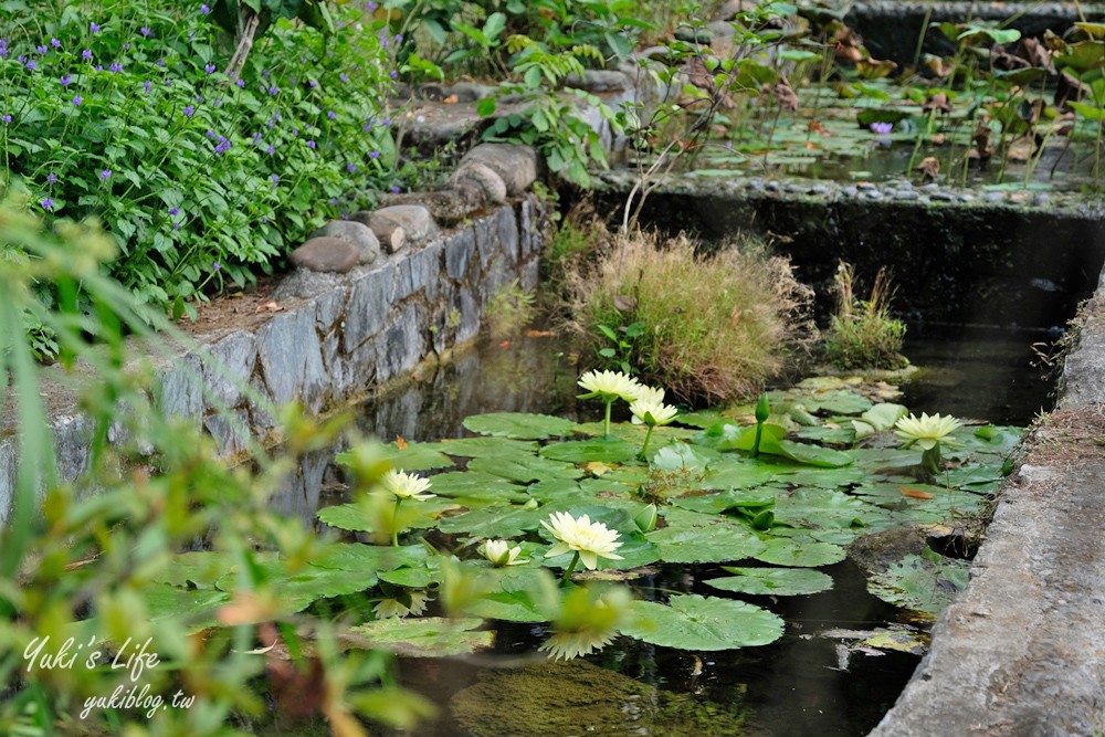 台南景點【仙湖休閒農場】親子一日遊～無邊際泳池、小動物、約會、草皮景觀餐廳、住宿 - yuki.tw