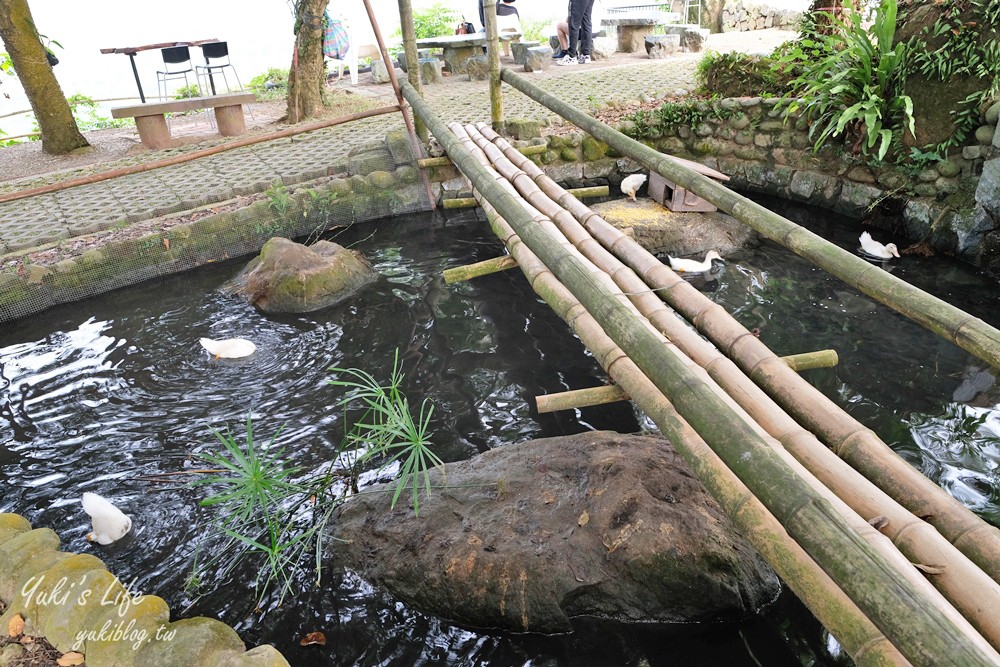 台南景點【仙湖休閒農場】親子一日遊～無邊際泳池、小動物、約會、草皮景觀餐廳、住宿 - yuki.tw