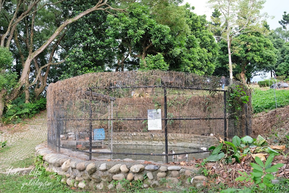 台南景點【仙湖休閒農場】親子一日遊～無邊際泳池、小動物、約會、草皮景觀餐廳、住宿 - yuki.tw