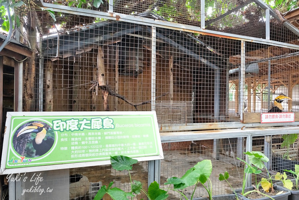 高雄景點【淨園農場】升級親子設施好玩一整天!小動物、看飛機、聚餐下午茶好去處 - yuki.tw