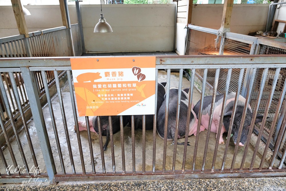 高雄景點【淨園農場】升級親子設施好玩一整天!小動物、看飛機、聚餐下午茶好去處 - yuki.tw