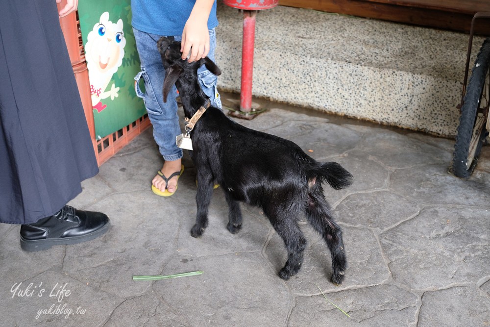 高雄景點【淨園農場】升級親子設施好玩一整天!小動物、看飛機、聚餐下午茶好去處 - yuki.tw