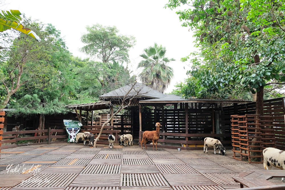 高雄景點【淨園農場】升級親子設施好玩一整天!小動物、看飛機、聚餐下午茶好去處 - yuki.tw