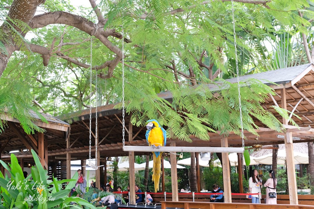 高雄景點【淨園農場】升級親子設施好玩一整天!小動物、看飛機、聚餐下午茶好去處 - yuki.tw