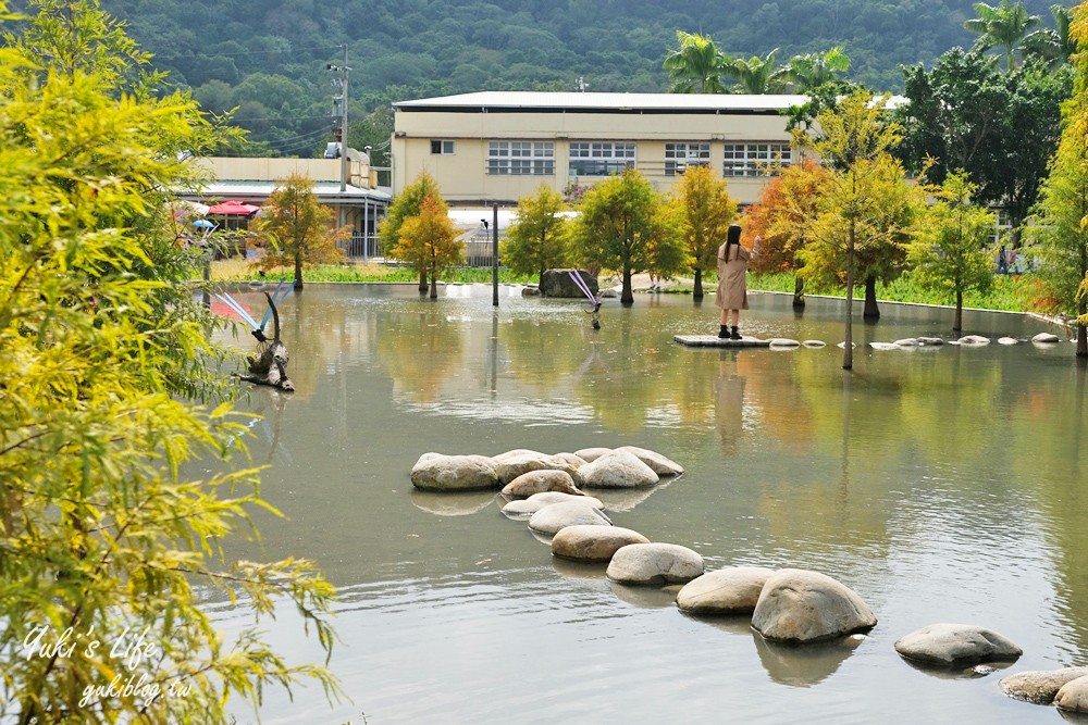 台中泰安落羽松祕境┃泰安國小落羽松~最新場景大公開、門票、交通 - yuki.tw