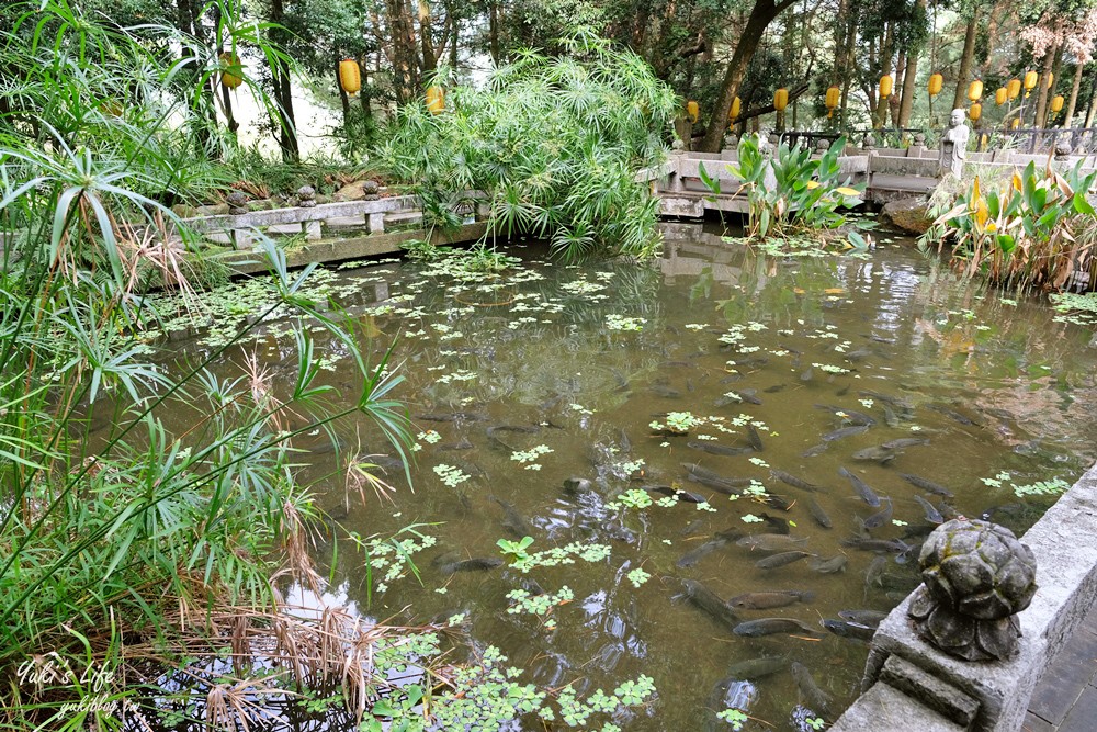 【南投景點】禪機山仙佛寺．登上燈籠天梯找尋五百羅漢～盤古存蹟靈穴讓你驚嘆！ - yuki.tw