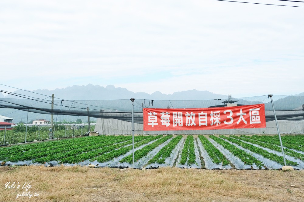 南投也可以採草莓「國姓鄉阿地草莓園」場地很大自己來尋寶 - yuki.tw