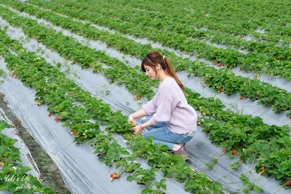 南投景點推薦懶人包》收錄60個以上南投一日遊二日遊景點~美食美拍全收錄 - yuki.tw