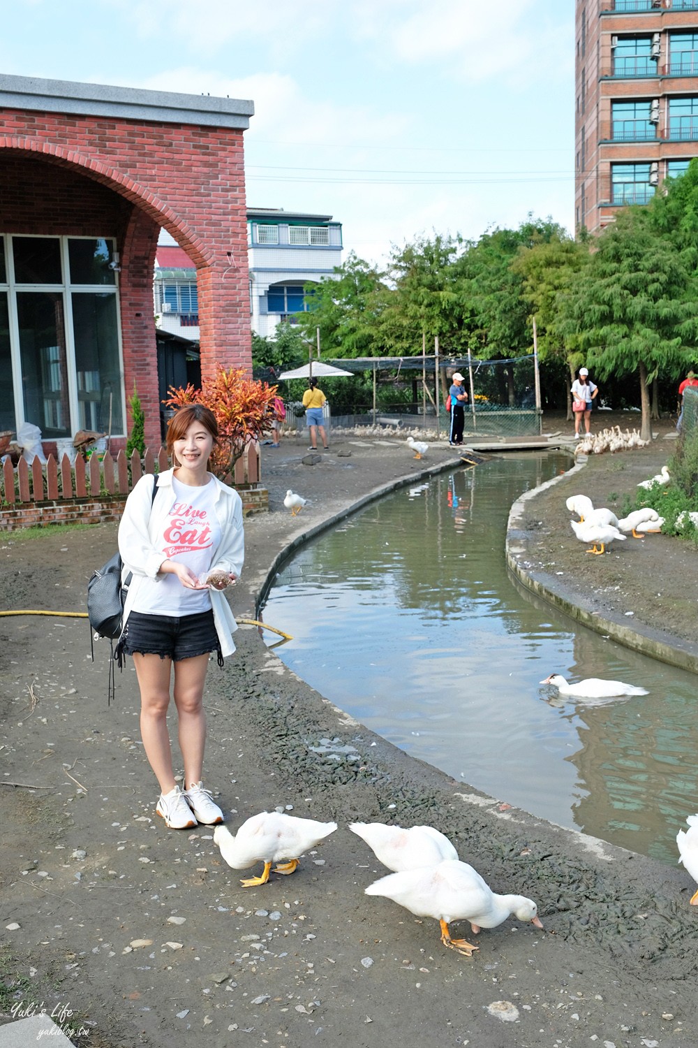 宜蘭五結景點【鴨寮故事館】餵鴨鴨超療癒、紅土鹹鴨蛋DIY從撿蛋開始太專業! - yuki.tw