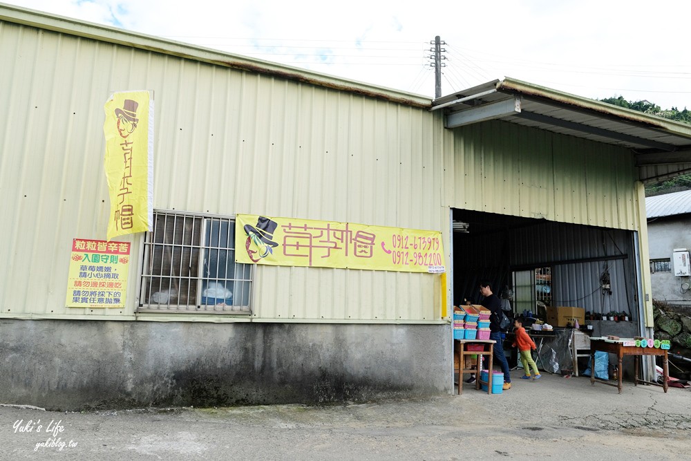 大湖草莓園推薦「莓李帽」苗栗馬拉邦山梯田式草莓園也太美！草莓餐療癒你的心 - yuki.tw