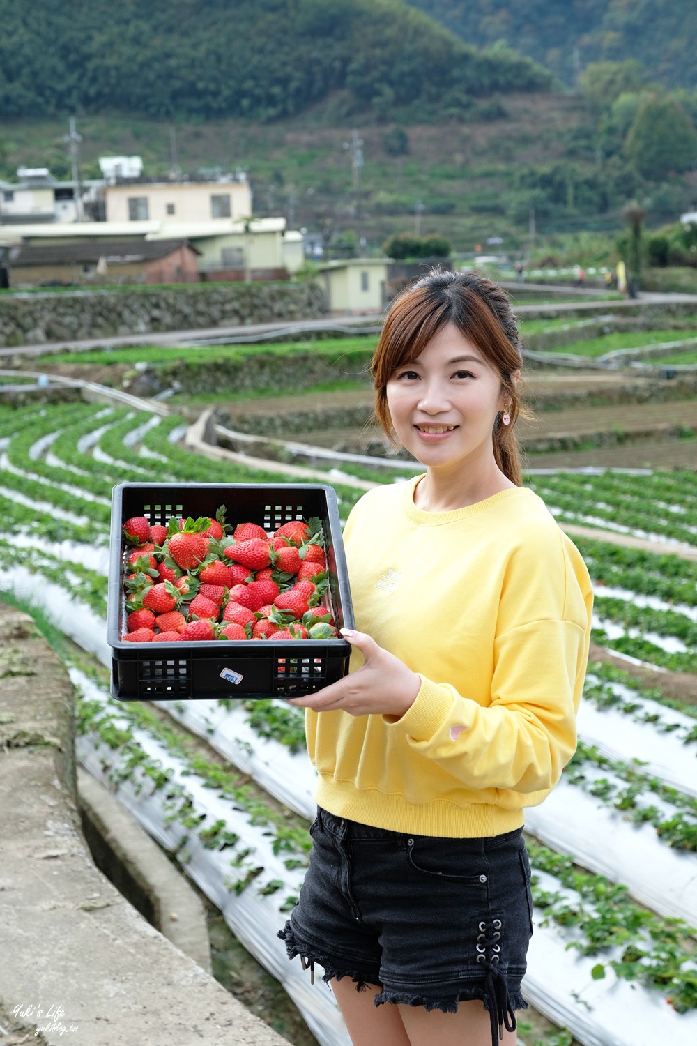 大湖草莓園推薦「莓李帽」苗栗馬拉邦山梯田式草莓園也太美！草莓餐療癒你的心 - yuki.tw