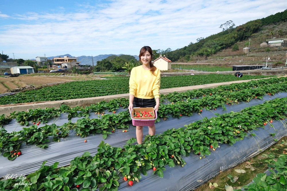 大湖草莓園推薦「莓李帽」苗栗馬拉邦山梯田式草莓園也太美！草莓餐療癒你的心 - yuki.tw